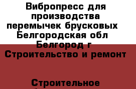 Вибропресс для производства перемычек брусковых - Белгородская обл., Белгород г. Строительство и ремонт » Строительное оборудование   